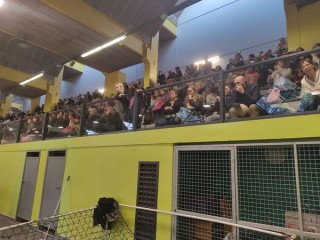 Image de l'actu 'Tout savoir sur la saison 2026-2027'